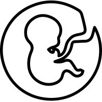 gynology
