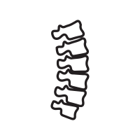 spine